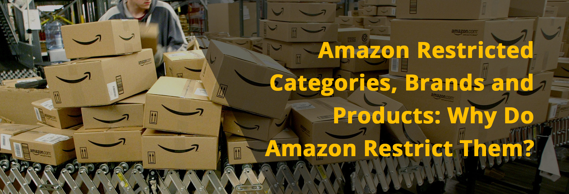 Amazon Restricted Categories Brands and Products