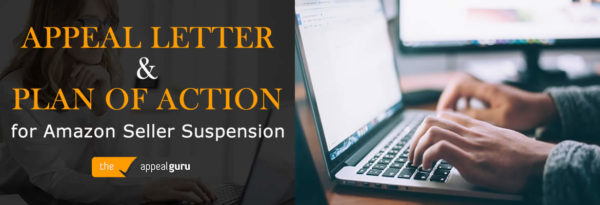 Custom Appeal Letter And Plan Of Action For Amazon Seller Suspension Amazon Appeal Services 