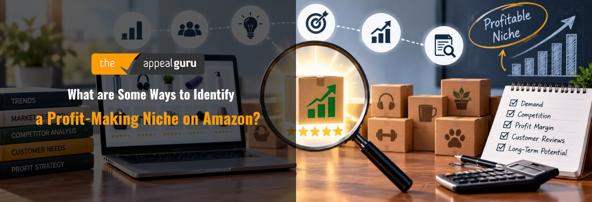 What are Some Ways to Identify a Profit-Making Niche on Amazon? 1 What are Some Ways to Identify a Profit Making Niche on Amazon