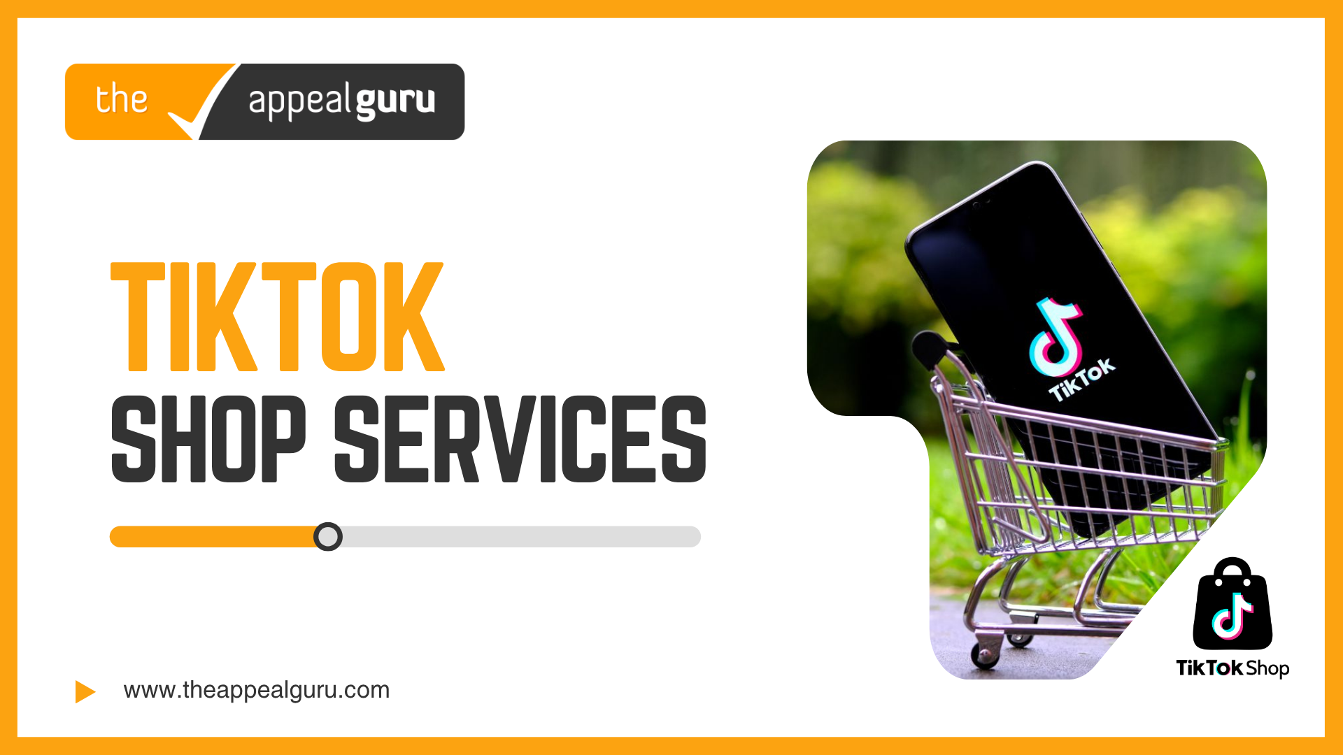 appealguru tiktok service